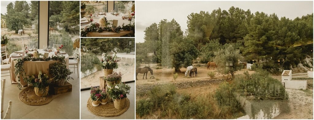 Finca Racó del Pastor